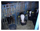 slides/SDC13321.JPG  SDC13321